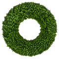 Boxwood Porch Classic — true transparent PNG product photo (UV faux wreath rental)