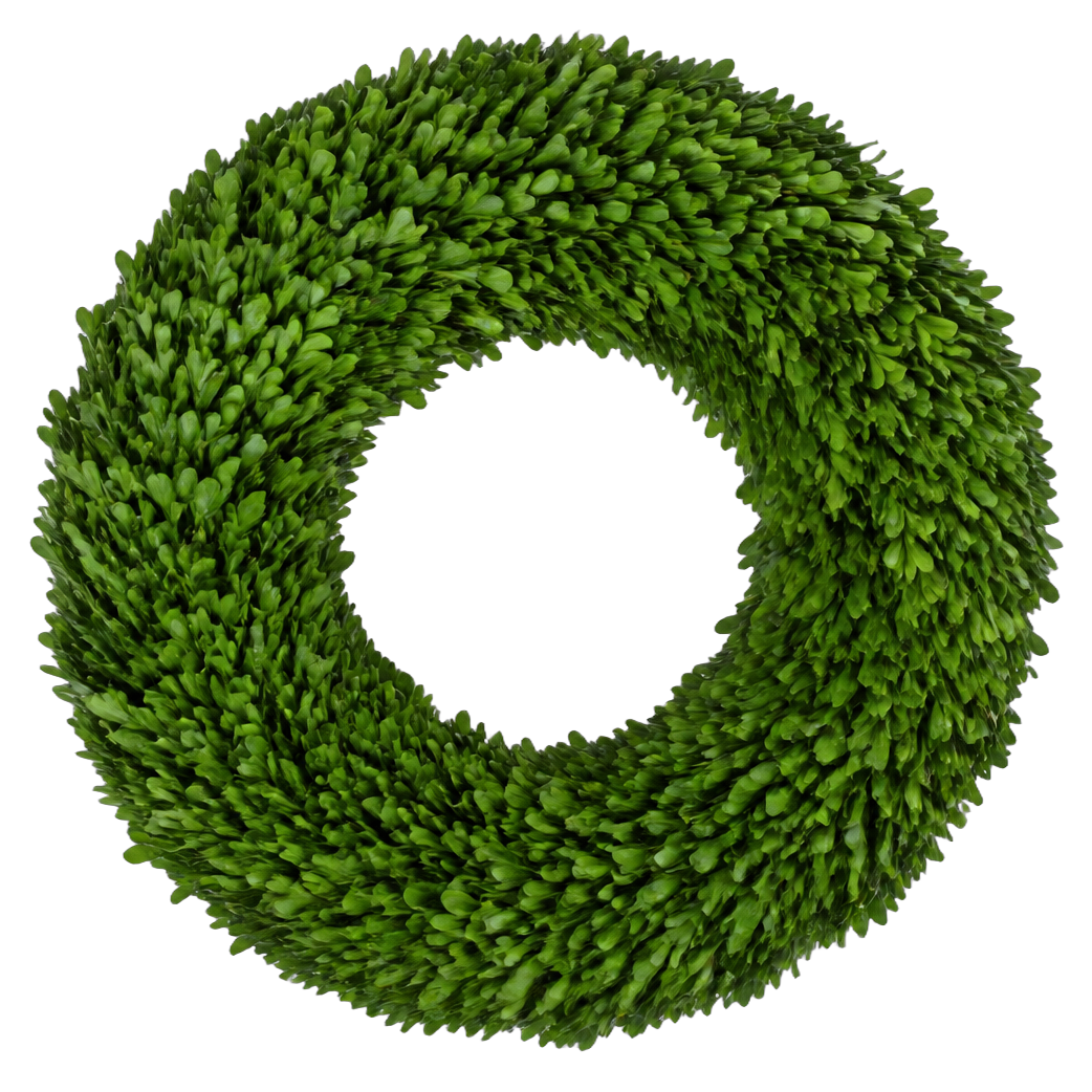 Boxwood Porch Classic — true transparent PNG product photo (UV faux wreath rental)