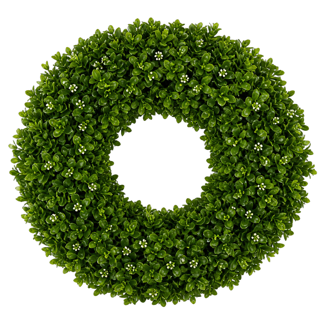 Coastal Boxwood Ring — full lush true transparent PNG product photo (UV faux wreath rental)