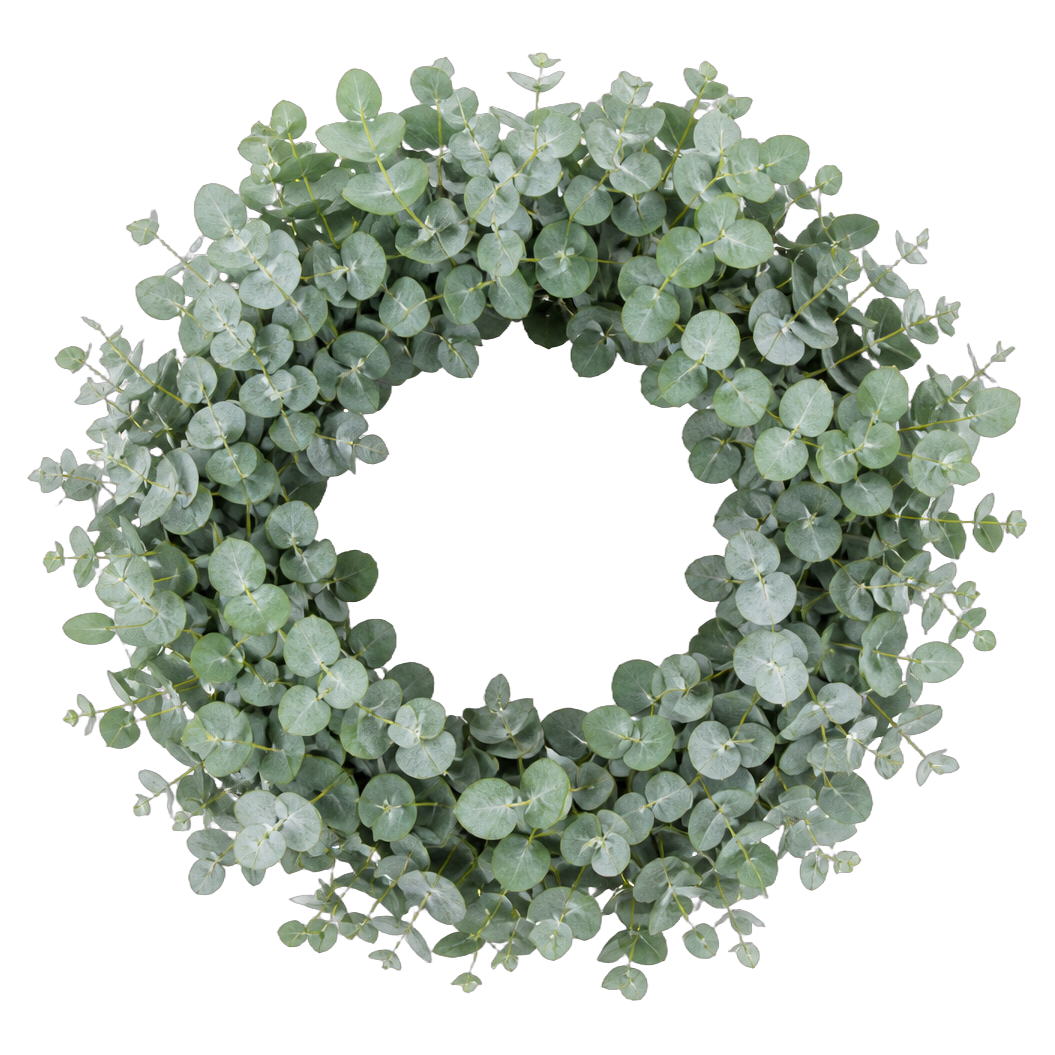 Everyday Eucalyptus Ring — true transparent PNG product photo (UV faux wreath rental)